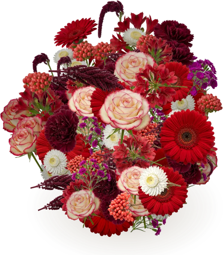 Digital bouquet for thirtieth anniversary: amaranthus, alstroemeria, carnation, rose