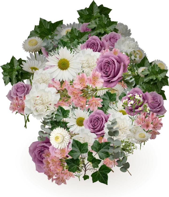 Digital bouquet for making amends: daisy chrysanthemum, rose, carnation, alstroemeria