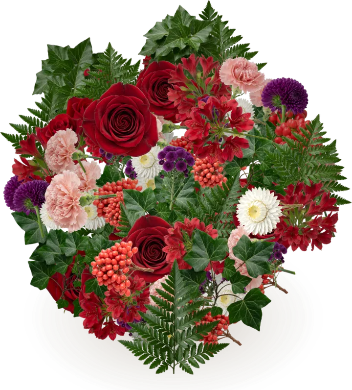 Digital bouquet for long distance: rose, alstroemeria, carnation, button chrysanthemum