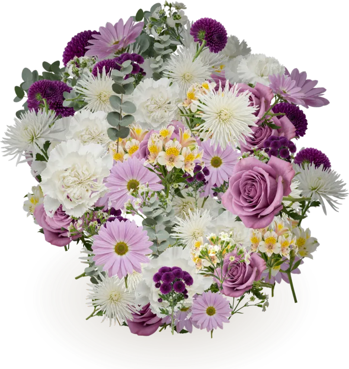 Digital bouquet for a hard loss: silver dollar eucalyptus, spider chrysanthemum, carnation, alstroemeria