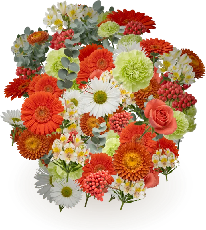 Digital bouquet for the new job: silver dollar eucalyptus, carnation, gerbera daisy, daisy chrysanthemum
