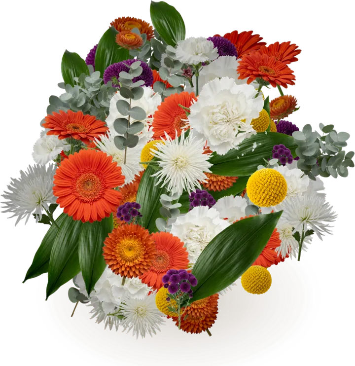 Digital bouquet for no occasion: silver dollar eucalyptus, carnation, gerbera daisy, spider chrysanthemum
