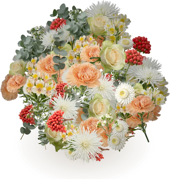 Digital bouquet for the all-clear: silver dollar eucalyptus, rose, alstroemeria, carnation